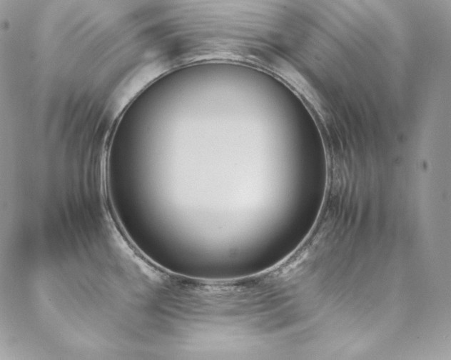 X0000089361290200706151124