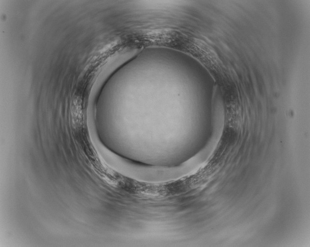 X0000089361298200706151123
