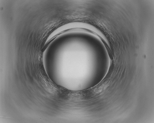 X0000089361300200706151123