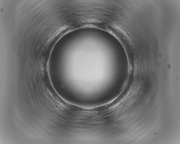 X0000089361305200706151123