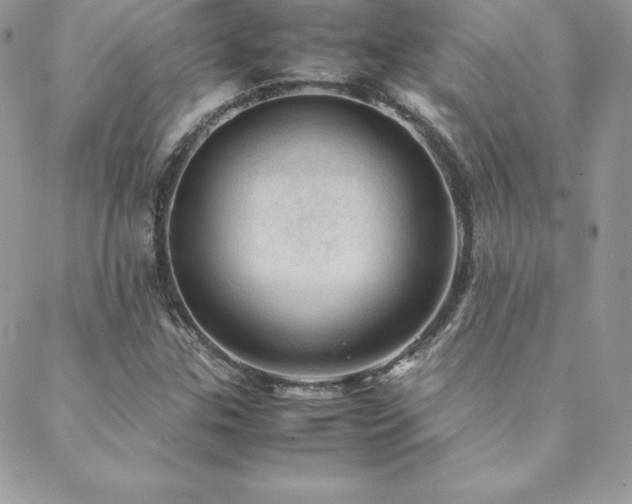 X0000089361307200706151123