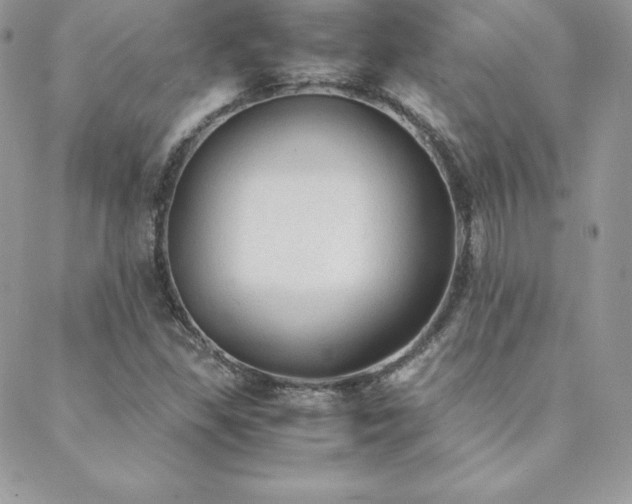 X0000089361309200706151123