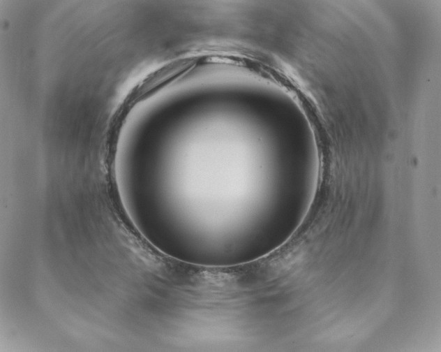 X0000089361312200706151123
