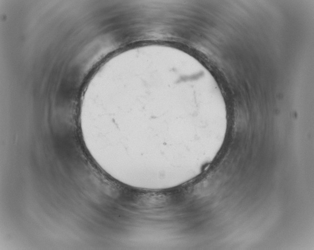 X0000089361314200706151124
