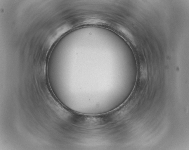 X0000089361322200706151124