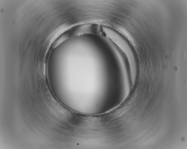 X0000089361324200706151124