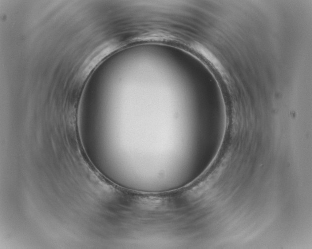 X0000089361329200706151124