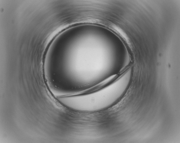 X0000089361332200706151124