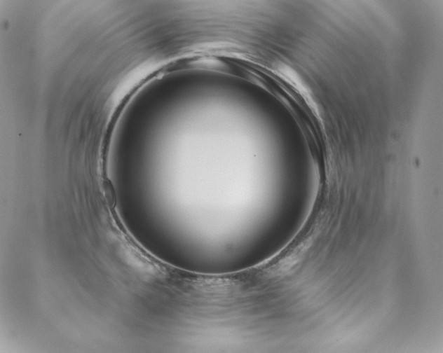 X0000089361336200706151124