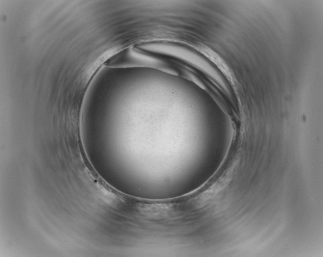 X0000089361337200706151124