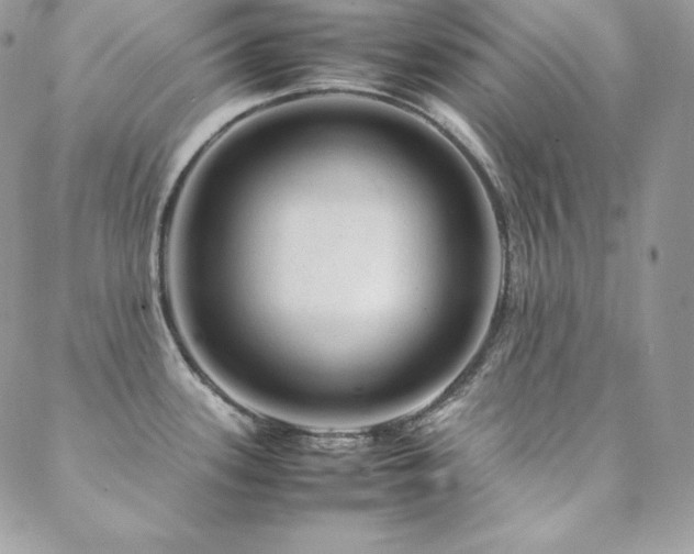X0000089361339200706151124