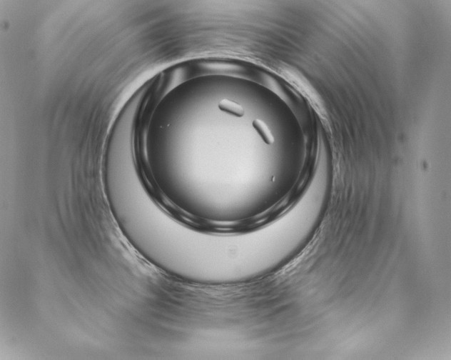X0000089361340200706151124