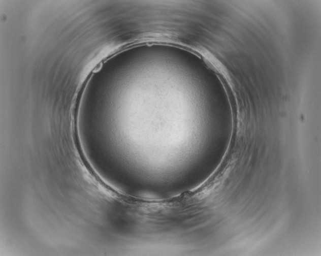 X0000089361341200706151124