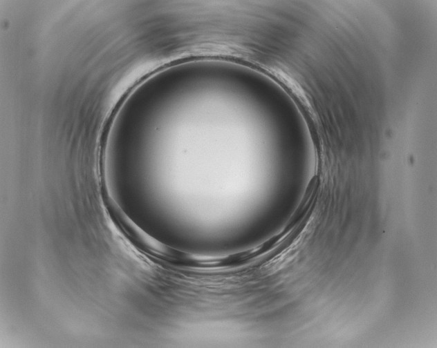 X0000089361342200706151124