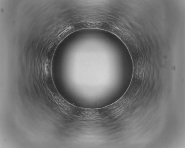 X0000089361346200706151123