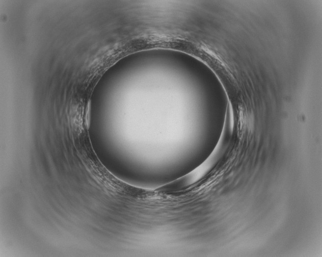 X0000089361348200706151123