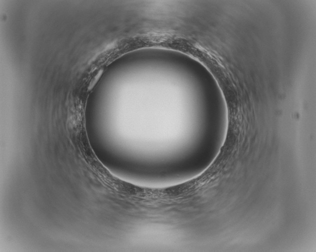 X0000089361349200706151123