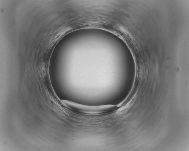 X0000089361353200706151123