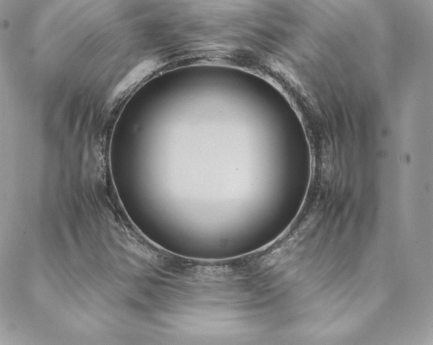 X0000089361354200706151123