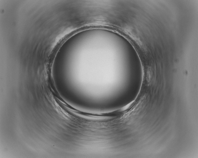 X0000089361356200706151123