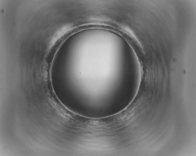 X0000089361360200706151123