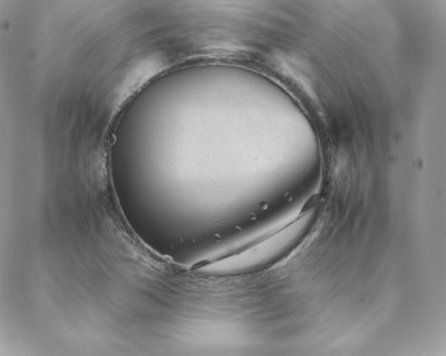 X0000089361362200706151123