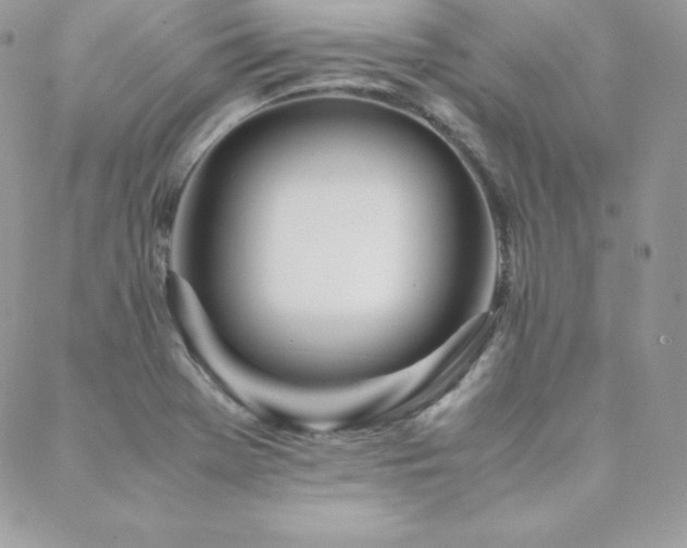 X0000089361369200706151123