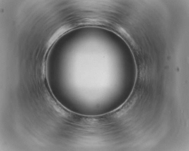 X0000089361370200706151123