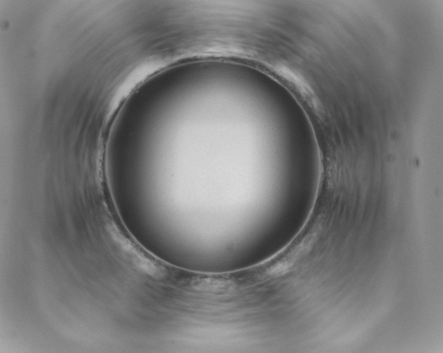 X0000089361374200706151123