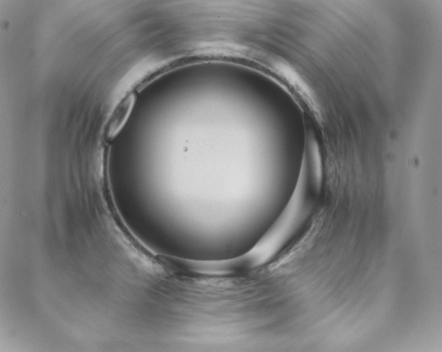 X0000089361376200706151123