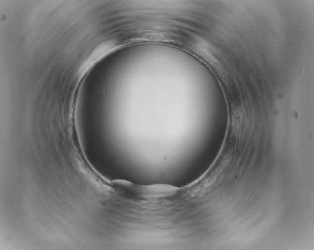 X0000089361378200706151123