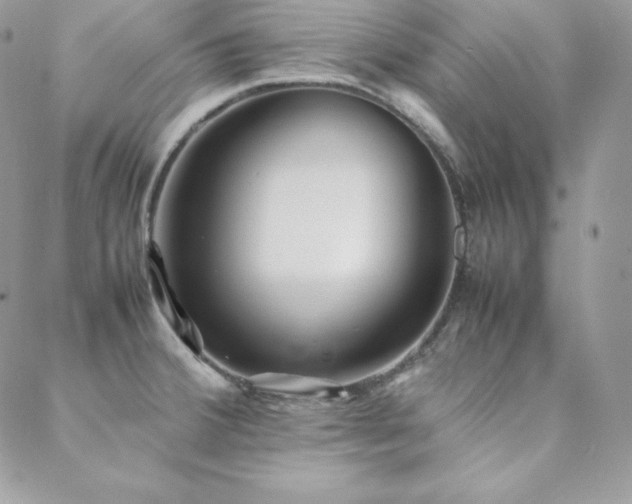 X0000089361380200706151123