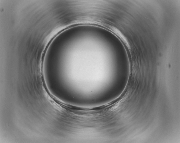 X0000089361388200706151123