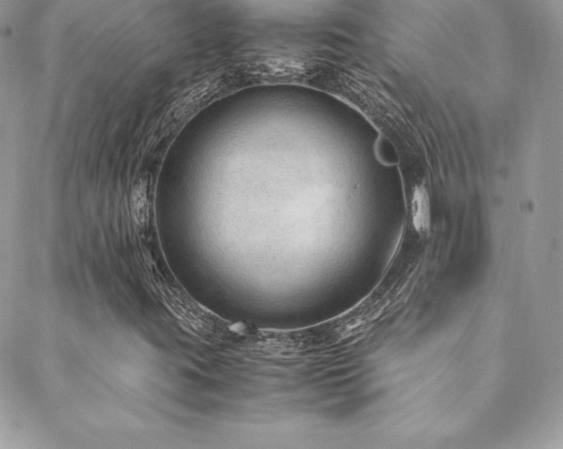 X0000089361395200706151122