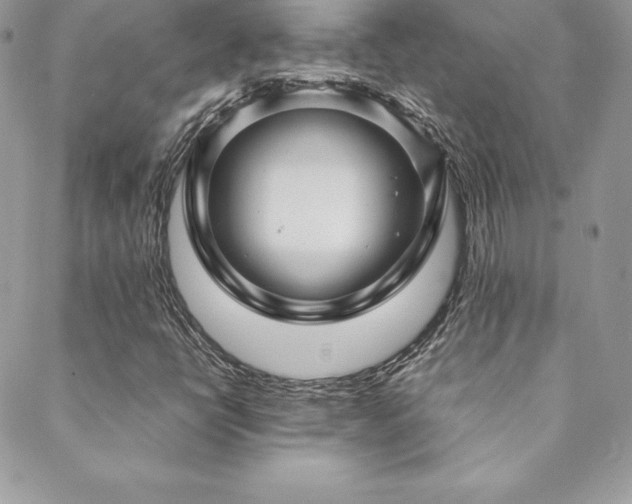 X0000089361398200706151122