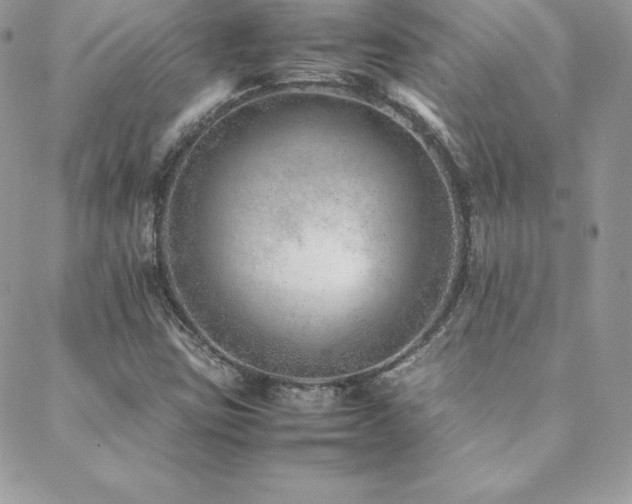 X0000089361403200706151122