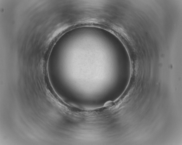 X0000089361404200706151122