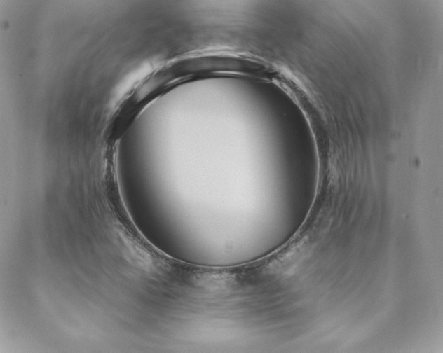 X0000089361406200706151122