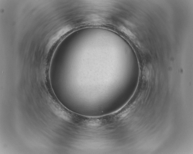 X0000089361410200706151122