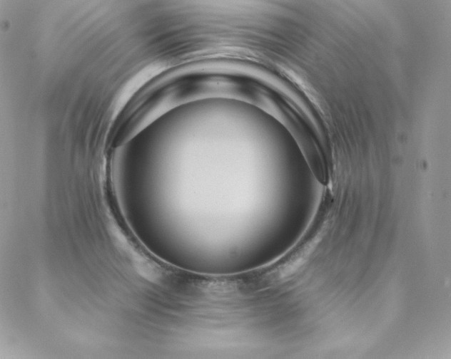 X0000089361418200706151122