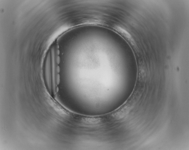 X0000089361427200706151122