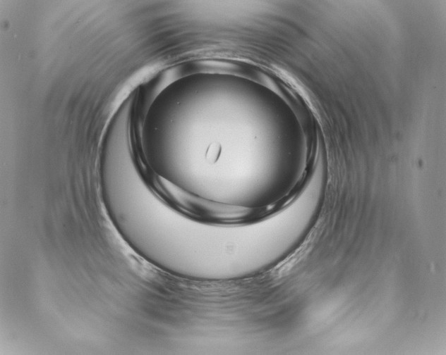 X0000089361434200706151122