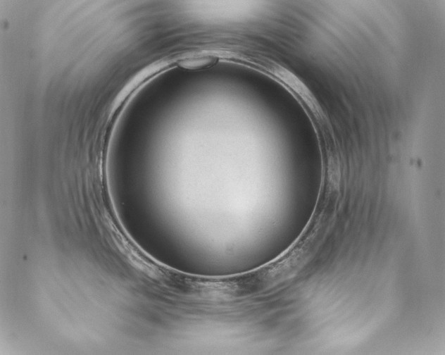 X0000089361436200706151122