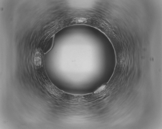 X0000089361442200706151122