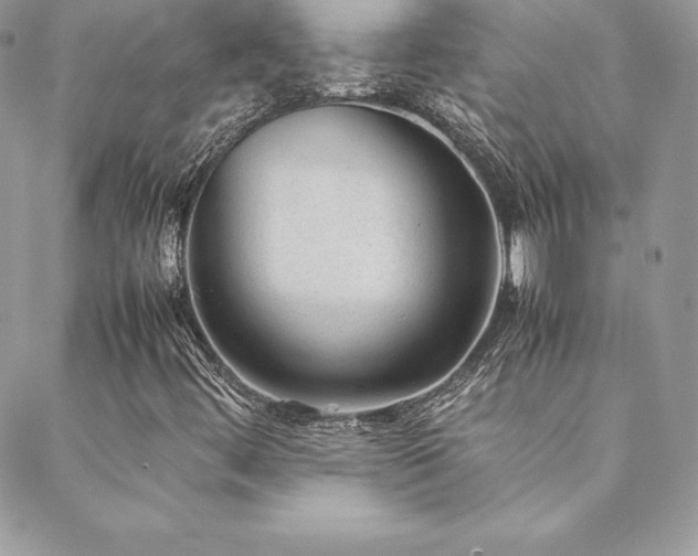 X0000089361444200706151122