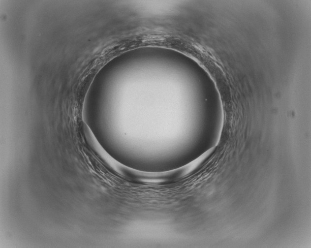X0000089361445200706151122