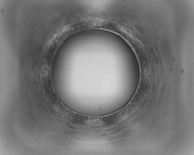X0000089361447200706151122