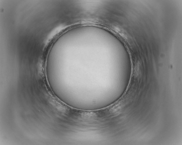 X0000089361454200706151121