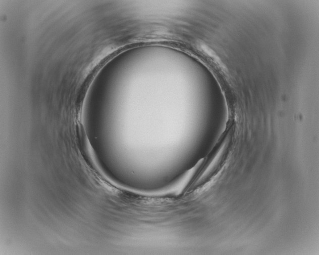 X0000089361457200706151121
