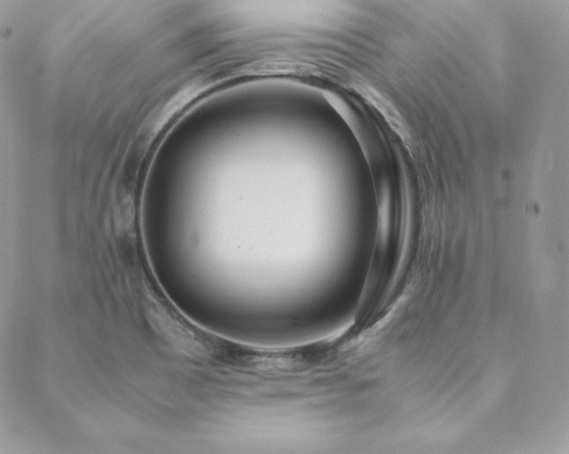 X0000089361465200706151121